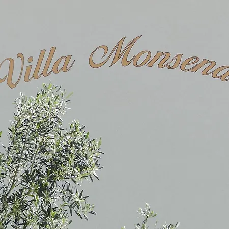 Monsena Pensjonat